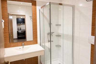 Apartament cu 2 camere decomandat în Vitan-Bârzești - 4