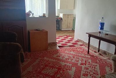 Casă cu 2 camere cu Teren 90 Mp în Bucu - 4