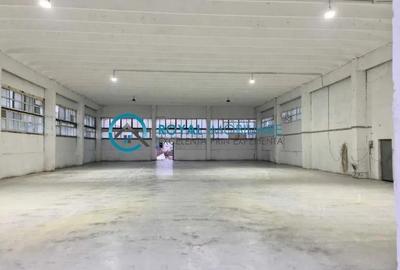Spațiu industrial, de 1,000 mp, în Mihai Bravu - 5
