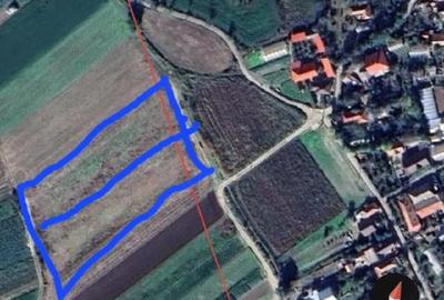 Teren de 2027 mp, în Potoceni