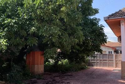 Casă cu 2 camere în Cricău - 1