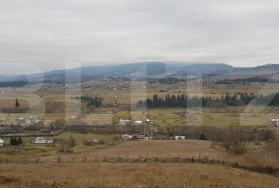 Teren de 50000 mp, în Șaru Dornei - 2