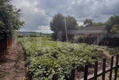 Casă cu 4 camere cu Teren 5796 Mp în Burdujeni - 3