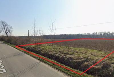 Teren de 9600 mp, în Niculești - 1