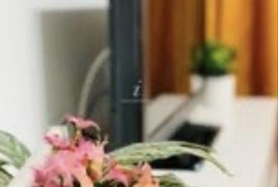 Apartament cu 2 camere în Limanu