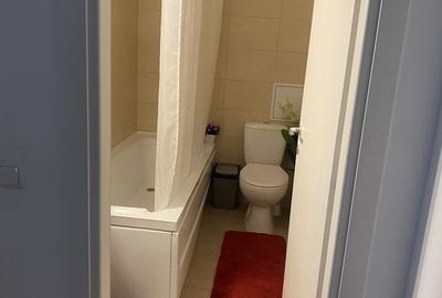 Apartament cu 2 camere semidecomandat, mobilat în Pantelimon - 5