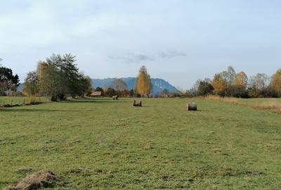 Teren agricol extravilan de 13000 mp, în Sohodol - 8