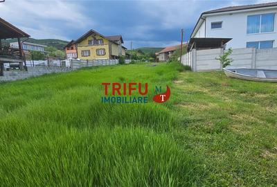 Teren intravilan de 2600 mp, în Micești