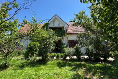 Casă individuală cu 8 camere cu Canalizare în Slătioara - 15