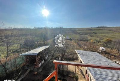 Casă cu 4 camere în Vânători - 13