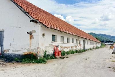 Teren agricol intravilan de 59303 mp, în Cheile Râșnoavei - 6