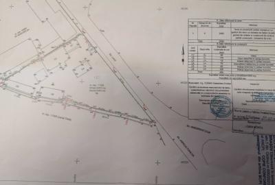 Casă cu 4 camere cu Teren 2463 Mp în Bartolomeu - 2