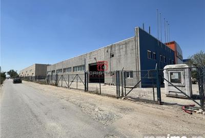 Spațiu comercial, în Domnești - 6