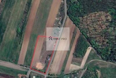 Teren agricol extravilan de 11000 mp, în Neajlovu - 10