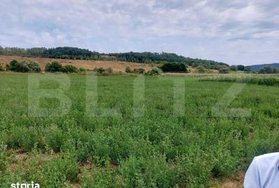 Teren de 27500 mp, în Iclod