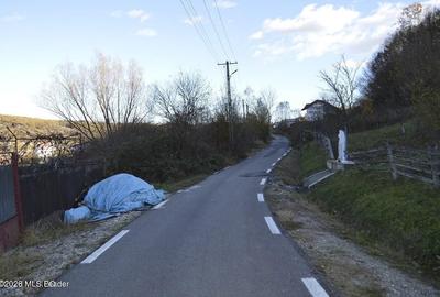 Teren Construcții intravilan de 13742 mp, în Băbana - 4