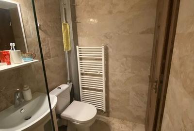 Garsonieră semidecomandată, mobilată în Zorilor - 10