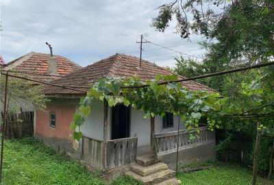 Casă cu 2 camere cu Teren 1500 Mp în Vârvor - 5