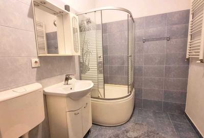 Garsonieră decomandată în Turnișor - 3