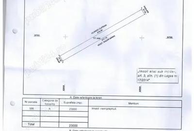 Teren de 23000 mp, în Dunavățu de Sus - 3