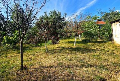 Casă cu Teren 429 Mp în Central - 9