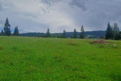 Teren de 49246 mp, în Panaci