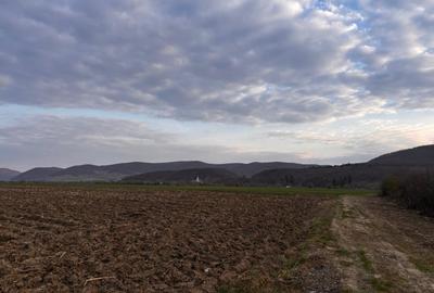 Teren agricol extravilan de 2500 mp, în Sud - 1