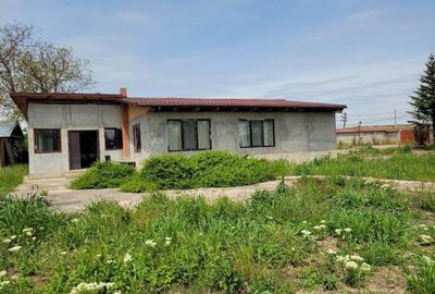 Casă cu 4 camere în Topliceni - 2