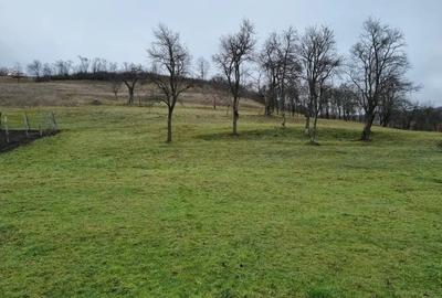 Teren în Orbău - 3