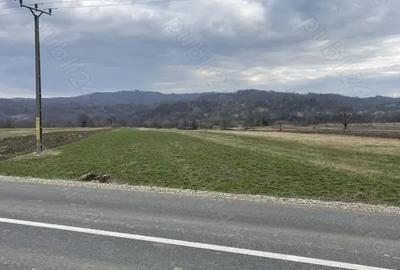 Teren de 3145 mp, în Mănăstirea Cașin - 5