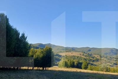 Teren extravilan de 11600 mp, în Turia