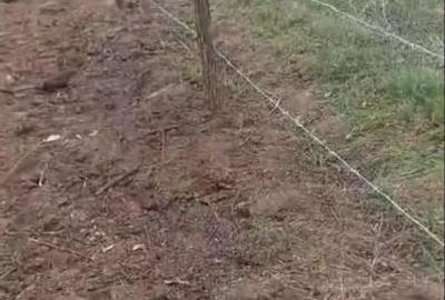 Teren Construcții intravilan de 900 mp, în Comana - 5