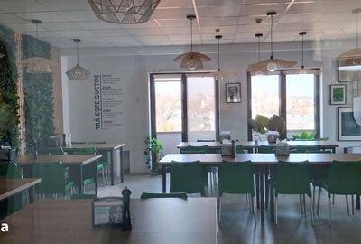 Spațiu comercial, de 2,518 mp, în Dacia