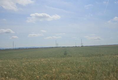 Teren de 10000 mp, în Micălaca - 2