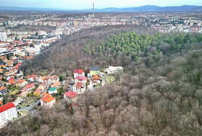 Teren Construcții intravilan de 10403 mp, în 15 Noiembrie - 13