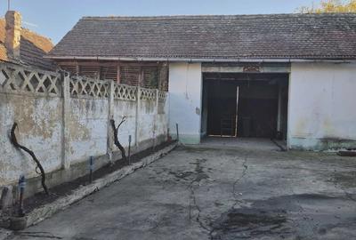 Casă cu Teren 3500 Mp în Berliște - 3
