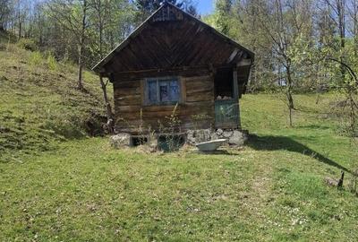 Spațiu comercial, în Valea Vișeului - 8