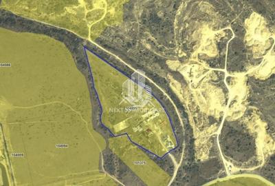 Teren Construcții intravilan de 59072 mp, în Nord-Vest - 5