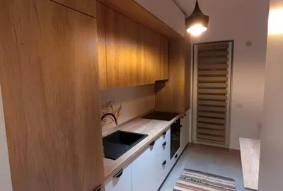 Garsonieră decomandată, mobilată în Podu Roș - 2
