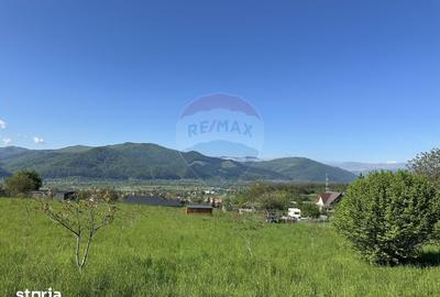Teren de 4528 mp, în Alexandru cel Bun - 3