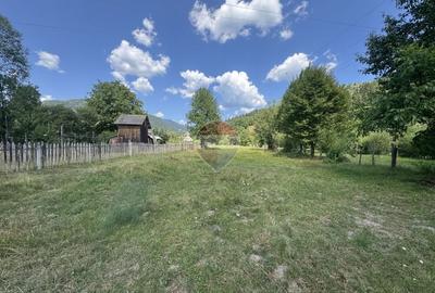 Teren Construcții intravilan de 2860 mp, în Borca