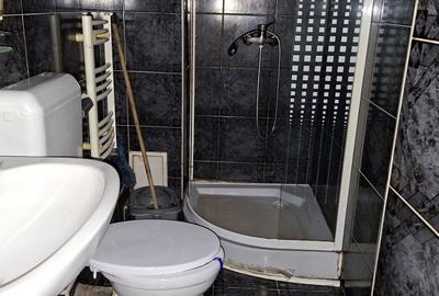 Apartament cu 3 camere semidecomandat, mobilat în Dorobanților - 7