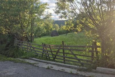 Teren de 2700 mp, în Valea Doftanei