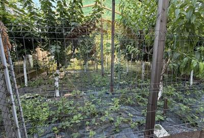 Apartament cu 3 camere decomandat în Piața Centrală - 7