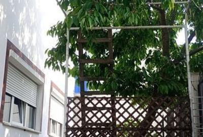 Casă cu 4 camere cu Teren 130 Mp în Central - 1