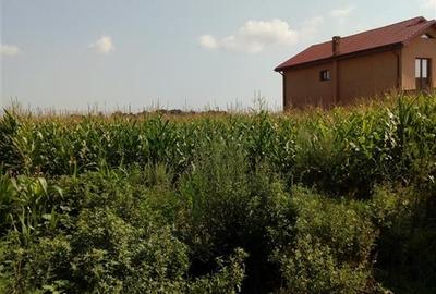 Teren Construcții intravilan de 6000 mp, în 9 Mai - 3