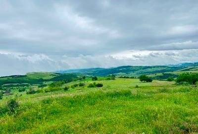 Teren agricol extravilan de 3600 mp, în Jugureni - 2