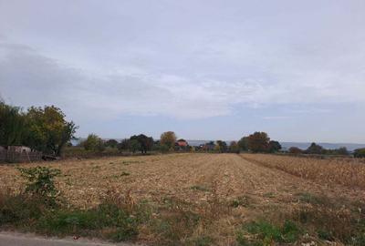 Teren de 2650 mp, în Schineni (Sascut) - 2