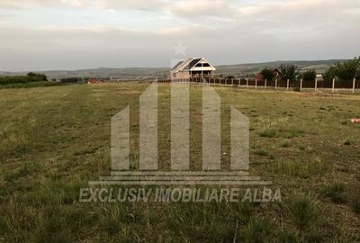 Teren intravilan de 7580 mp, în Pâclișa