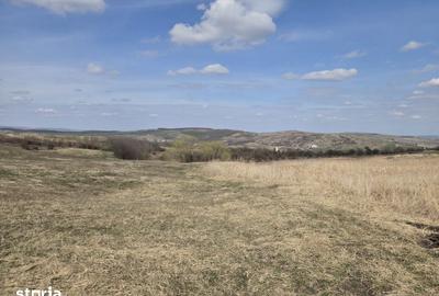 Teren de 11500 mp, în Mihai Viteazu - 2